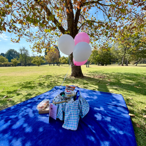 Johannesburg: Surprise Picnic at Johannesburg Botanical Gardens
